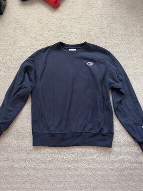 Men's Navy Crewneck Sweatshirt with Subtle Logo Penn state